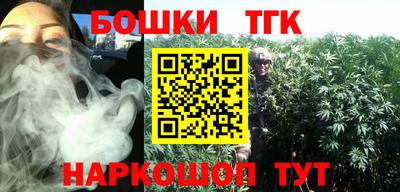 шишки Заводоуковск