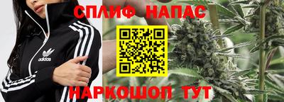 шишки Заводоуковск