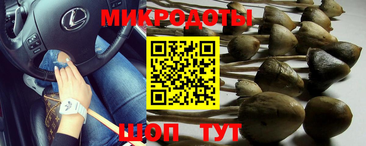 Ефремов  Псилоцибиновые грибы Psilocybine cubensis  Галлюциногенные грибы Psilocybine cubensis  наркошоп  Вход с VPN 